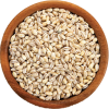 Barley