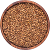 Buckwheat