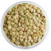 lentil